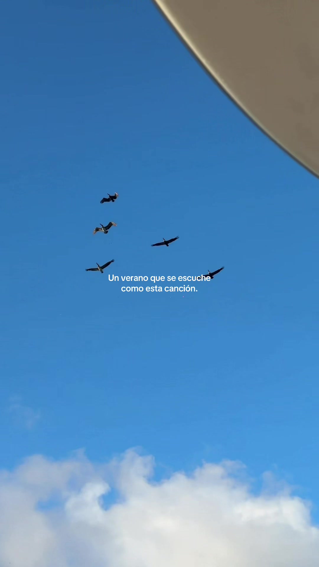 @Garrispotter
