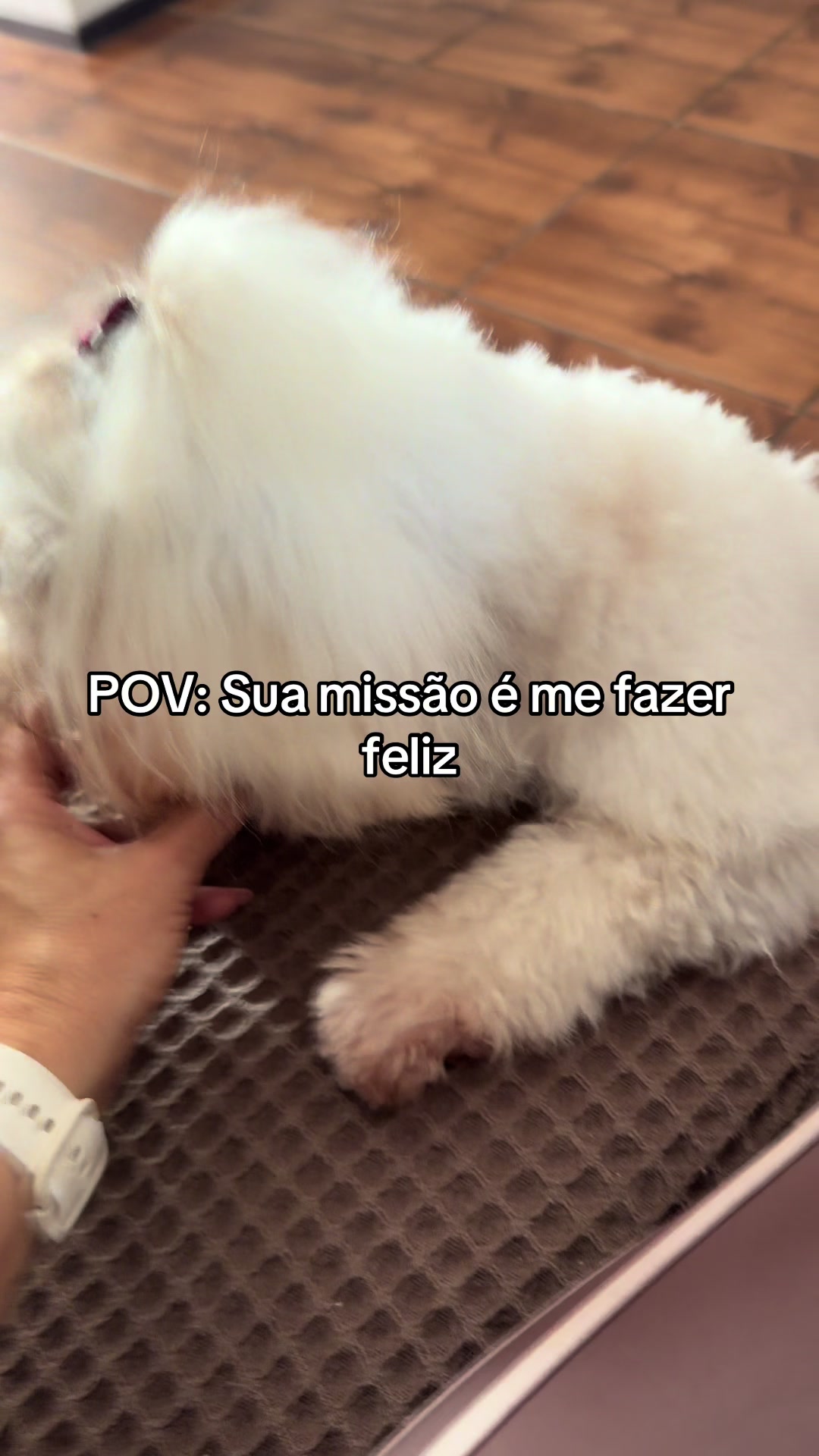 @FannBeauty