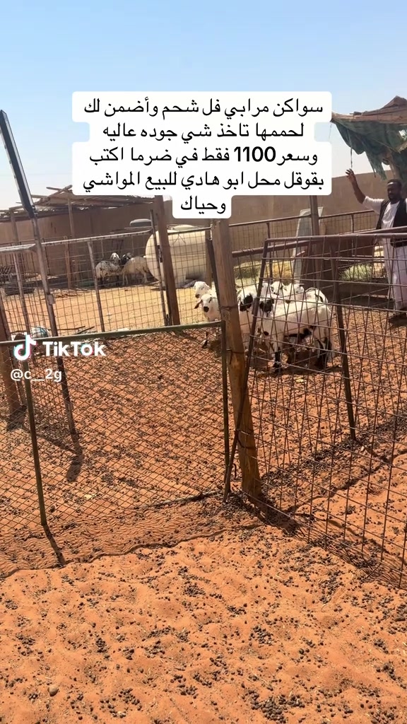 @mohamed_ksa0