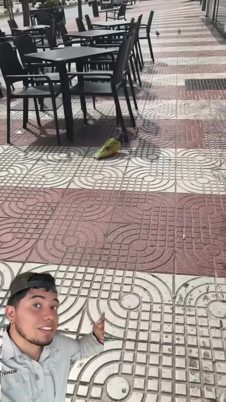 @Soy Sebassalvaje (dúos)