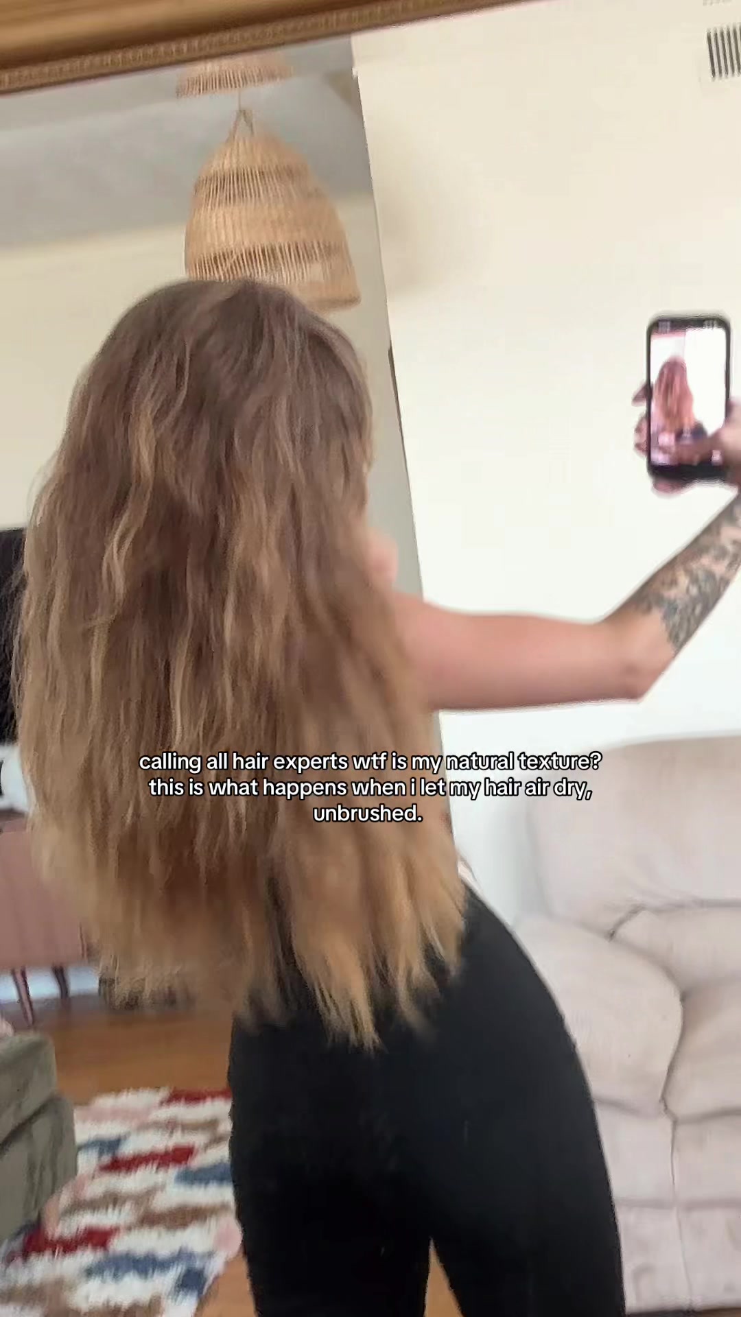 @sarracicero