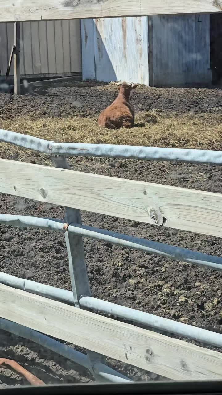 @Small Town Farm LLC