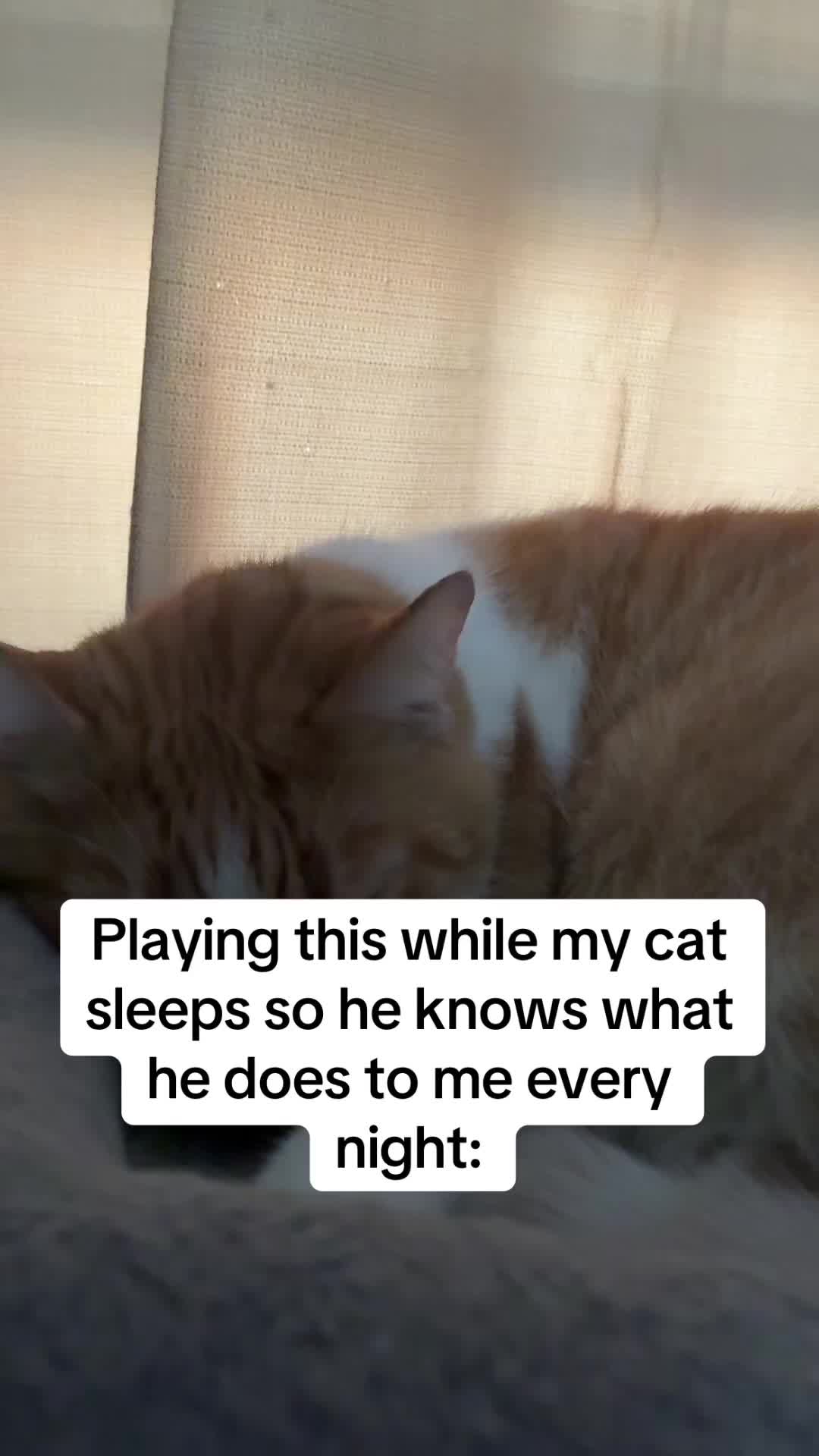 @Neighborhood Cat Man