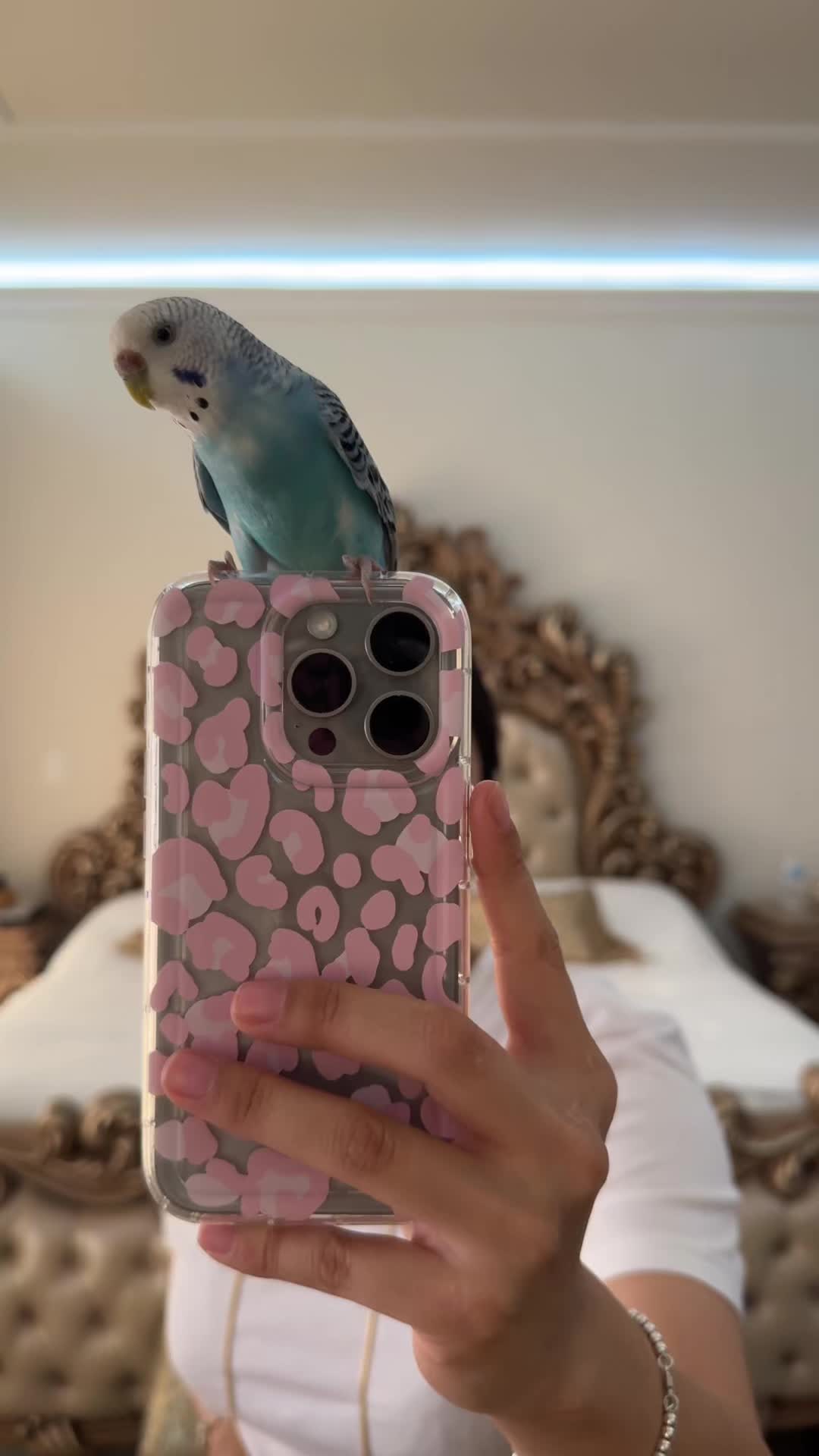 @Cindy Jacqueline Guzmán.