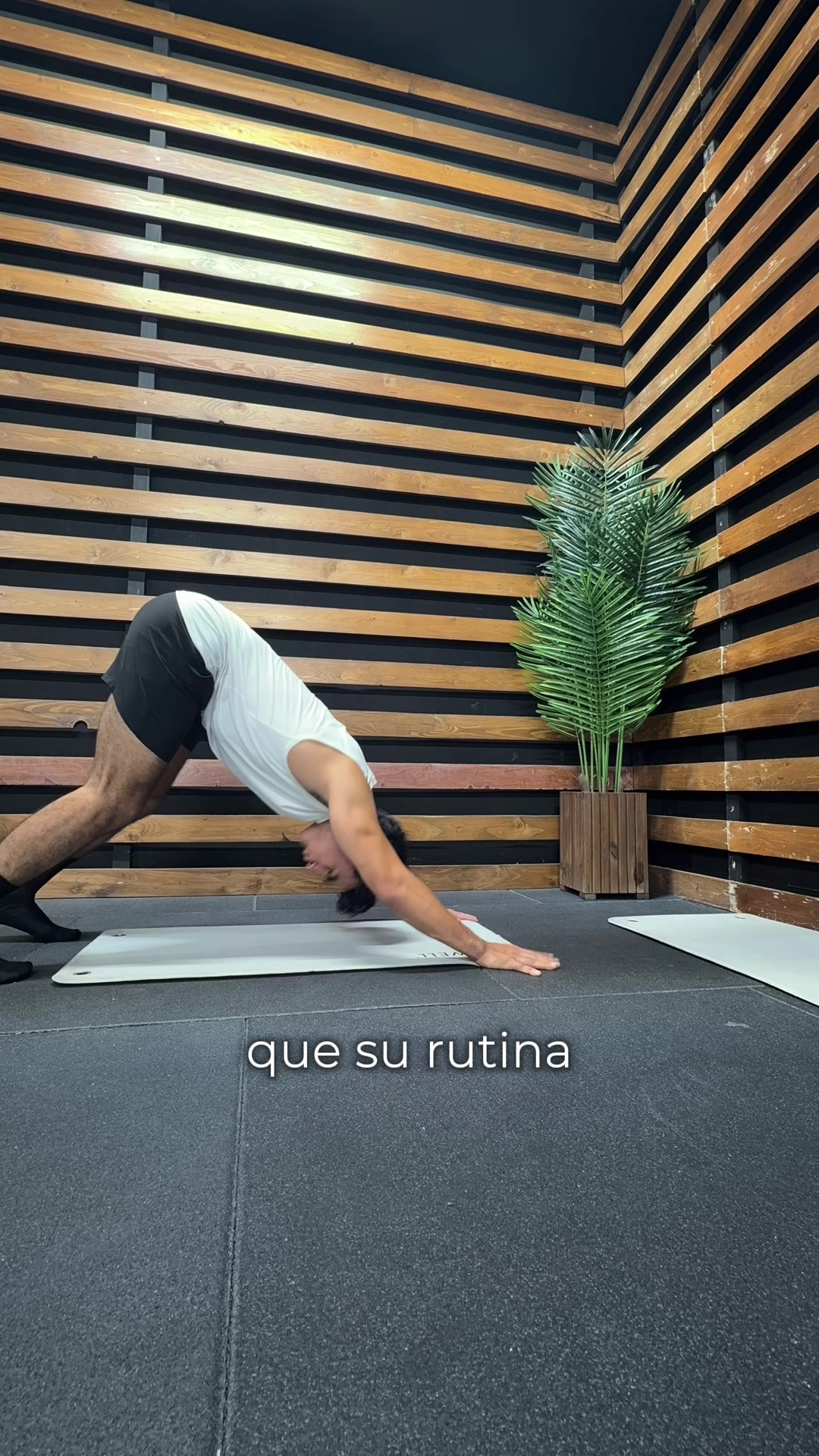 @Alex Silva
