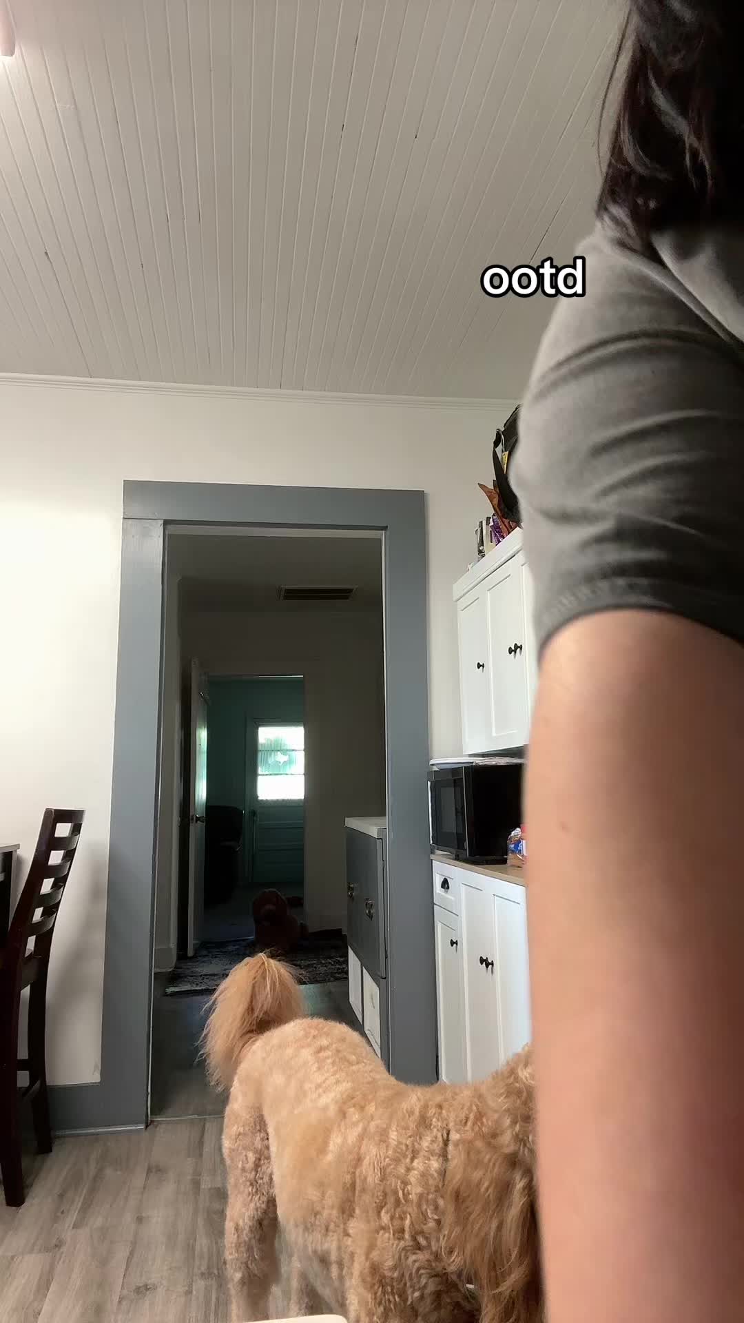 @๐ angel lynn ๐