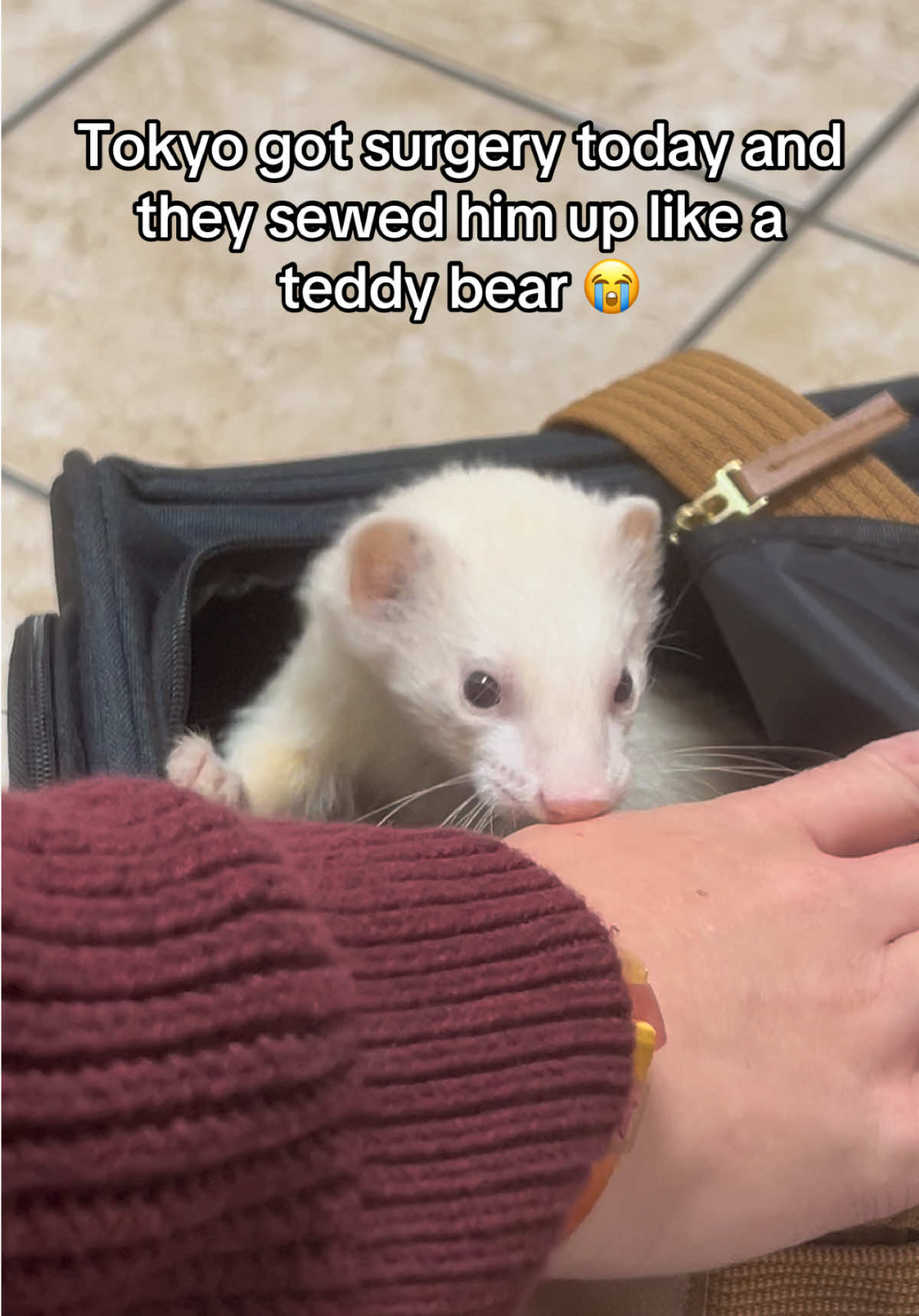 @⠀ ⠀