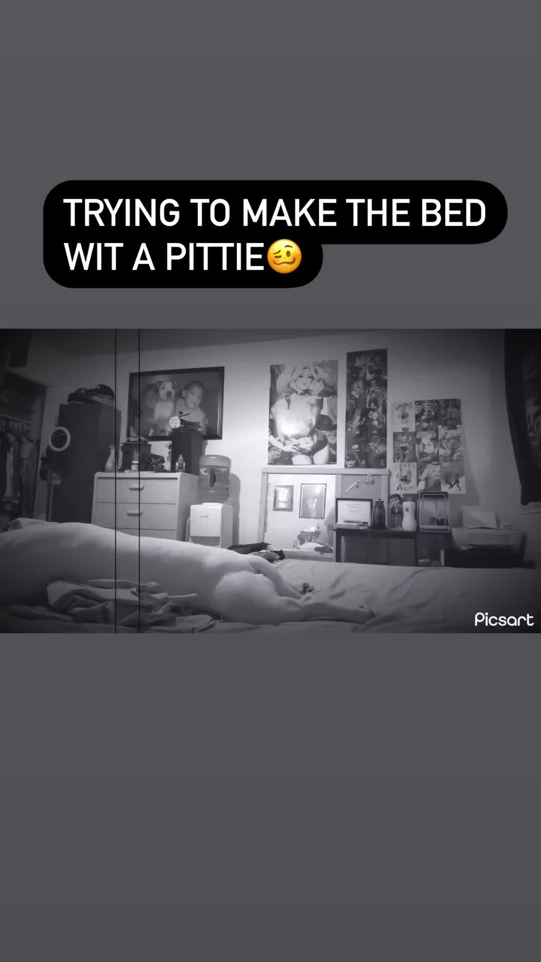 @boopski3147