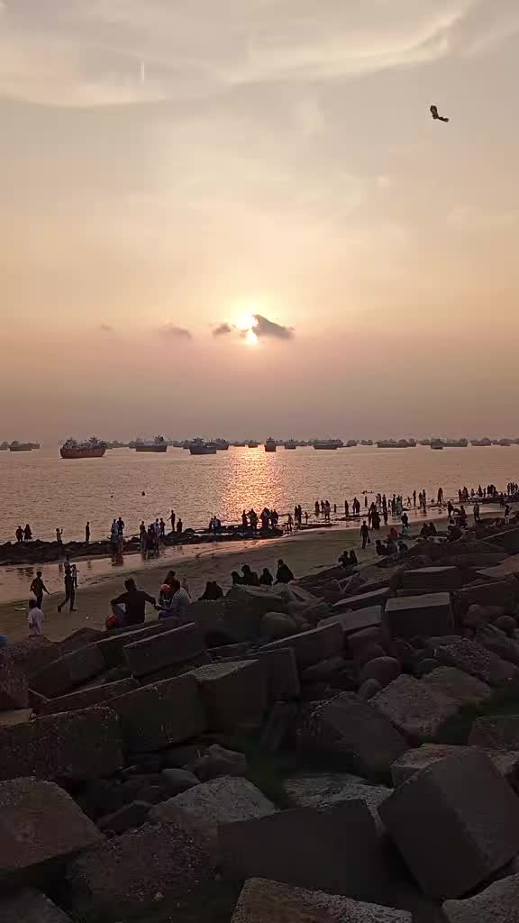 @ফুল🌸🌼