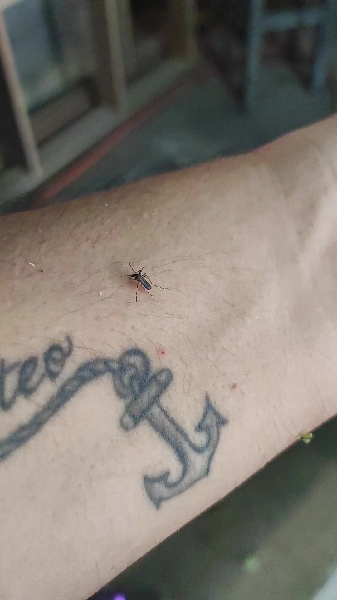 @Que bonito es lo 🐺 bonito🤠