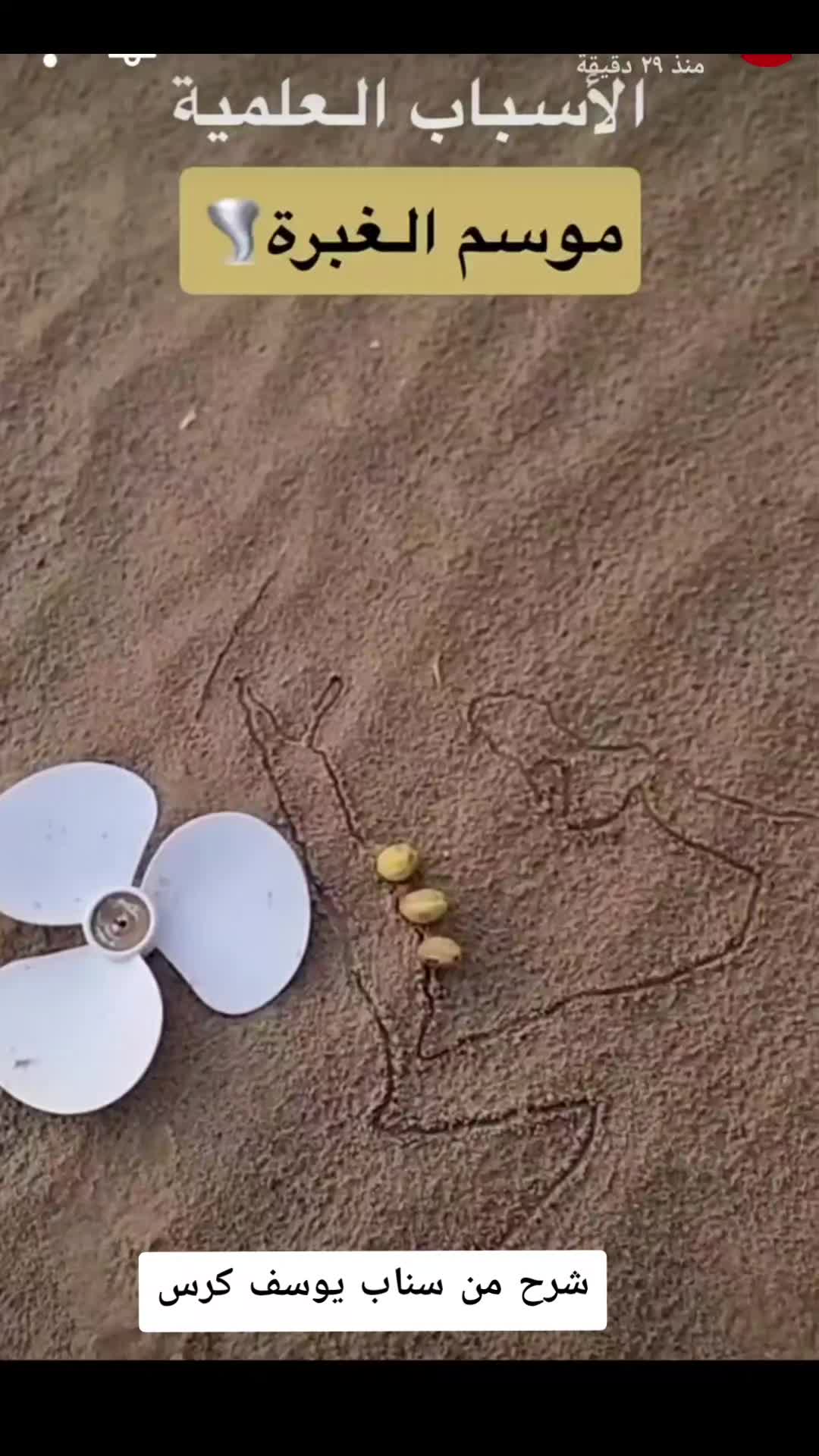 @آبووسآم برق آلَساحل⚡️⛈️