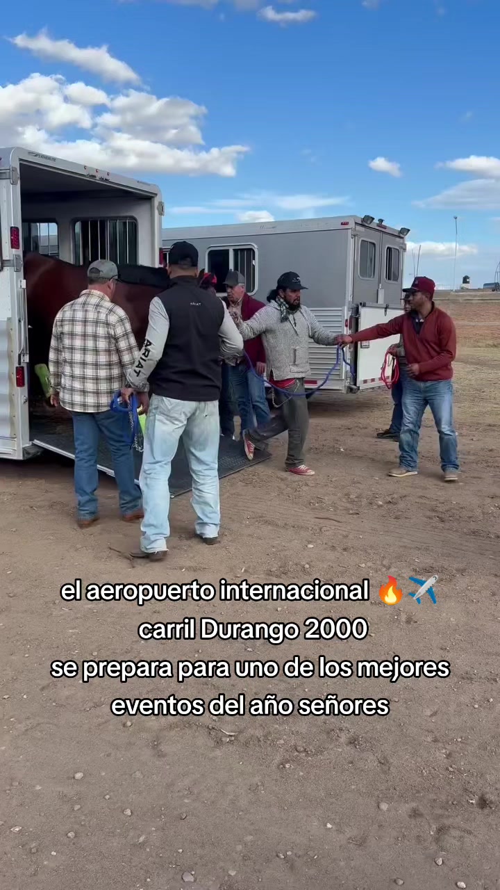 @carriles altos de jalisco🐎