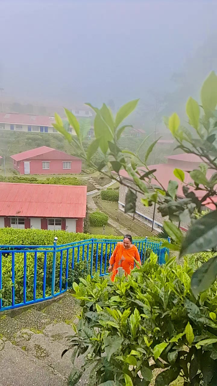@Shova Karki