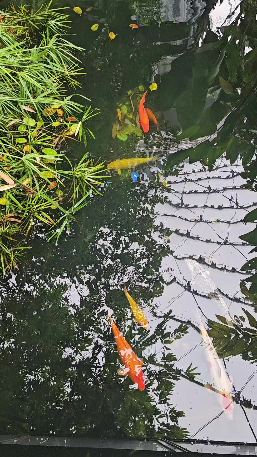 @mindfulmoments113