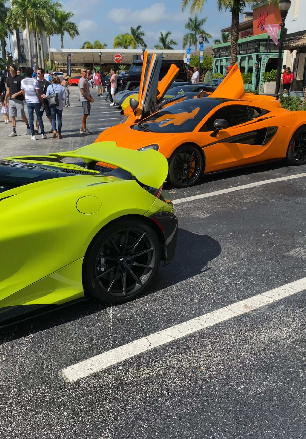 @Biscayne Supercars