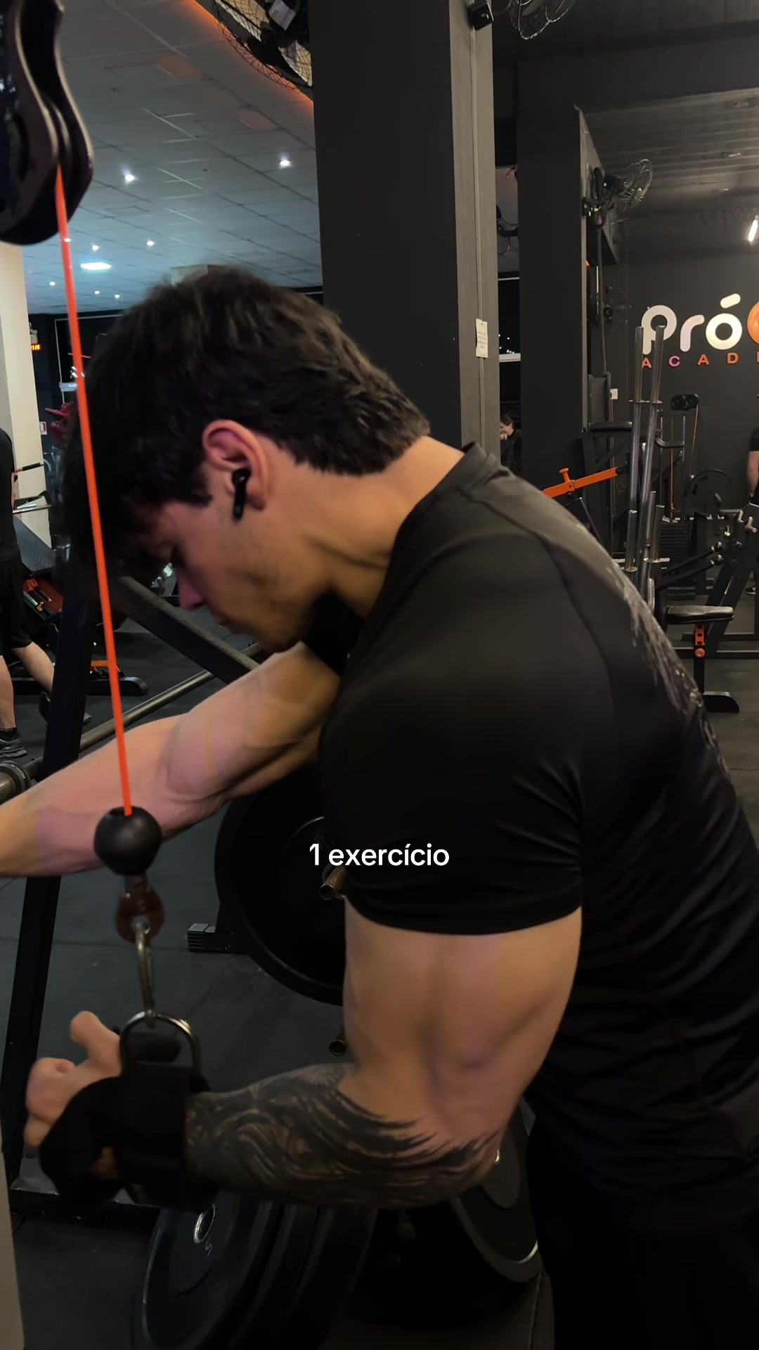 @bernardofreitass