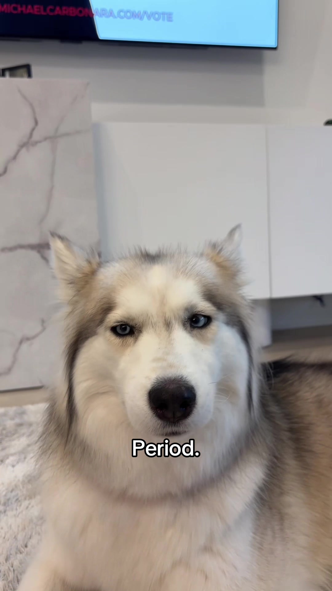 @lifewith2huskies