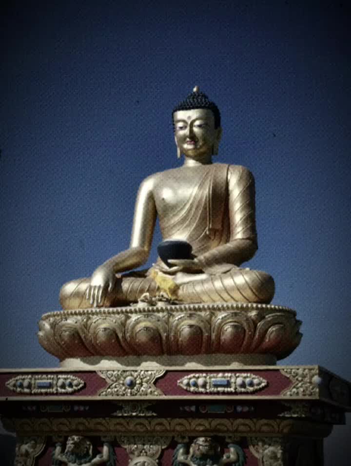 @Wisdomoflife