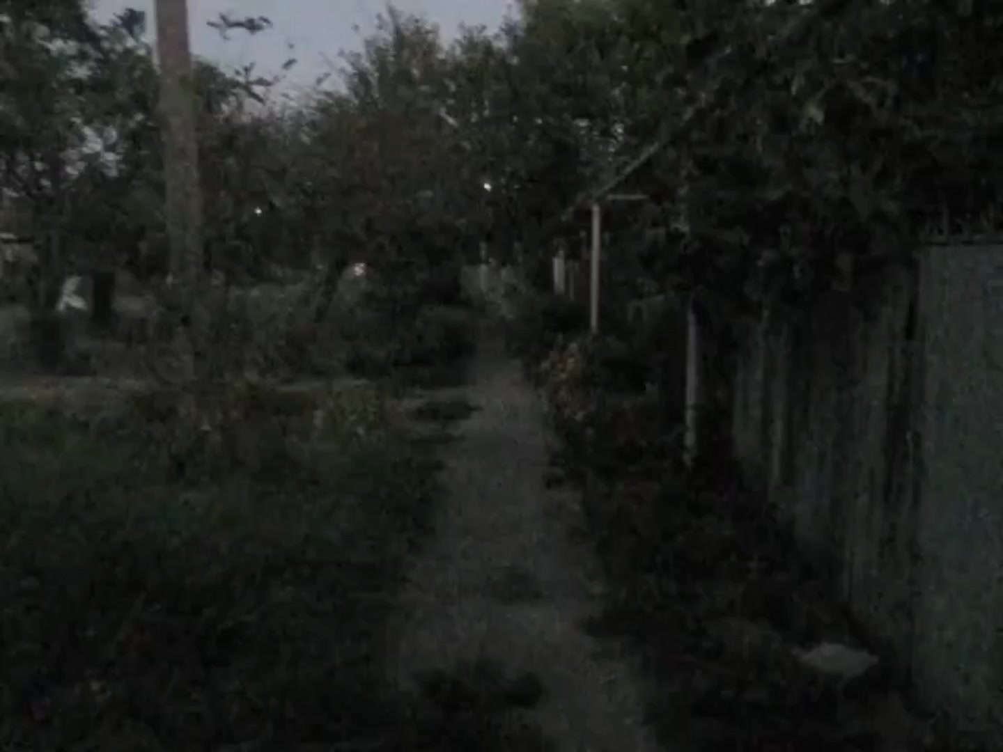 @꩜