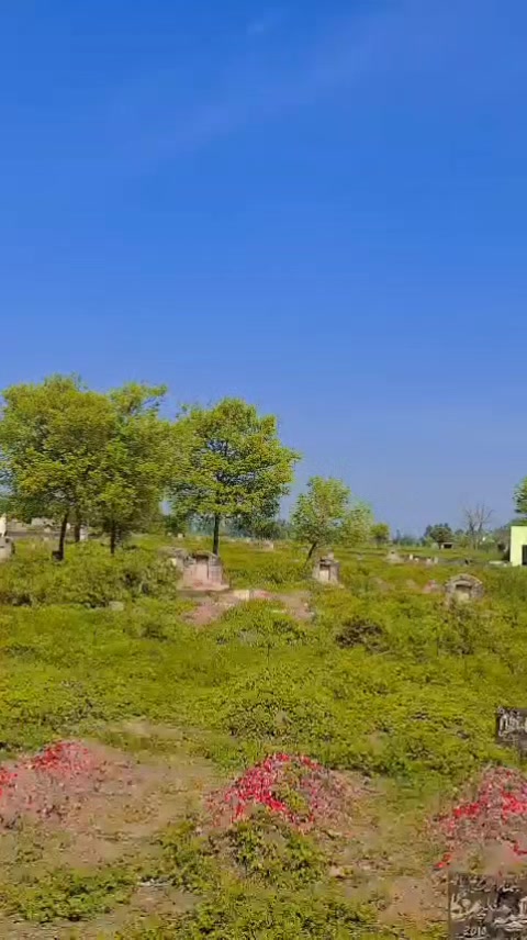 @bilal gorsi75379