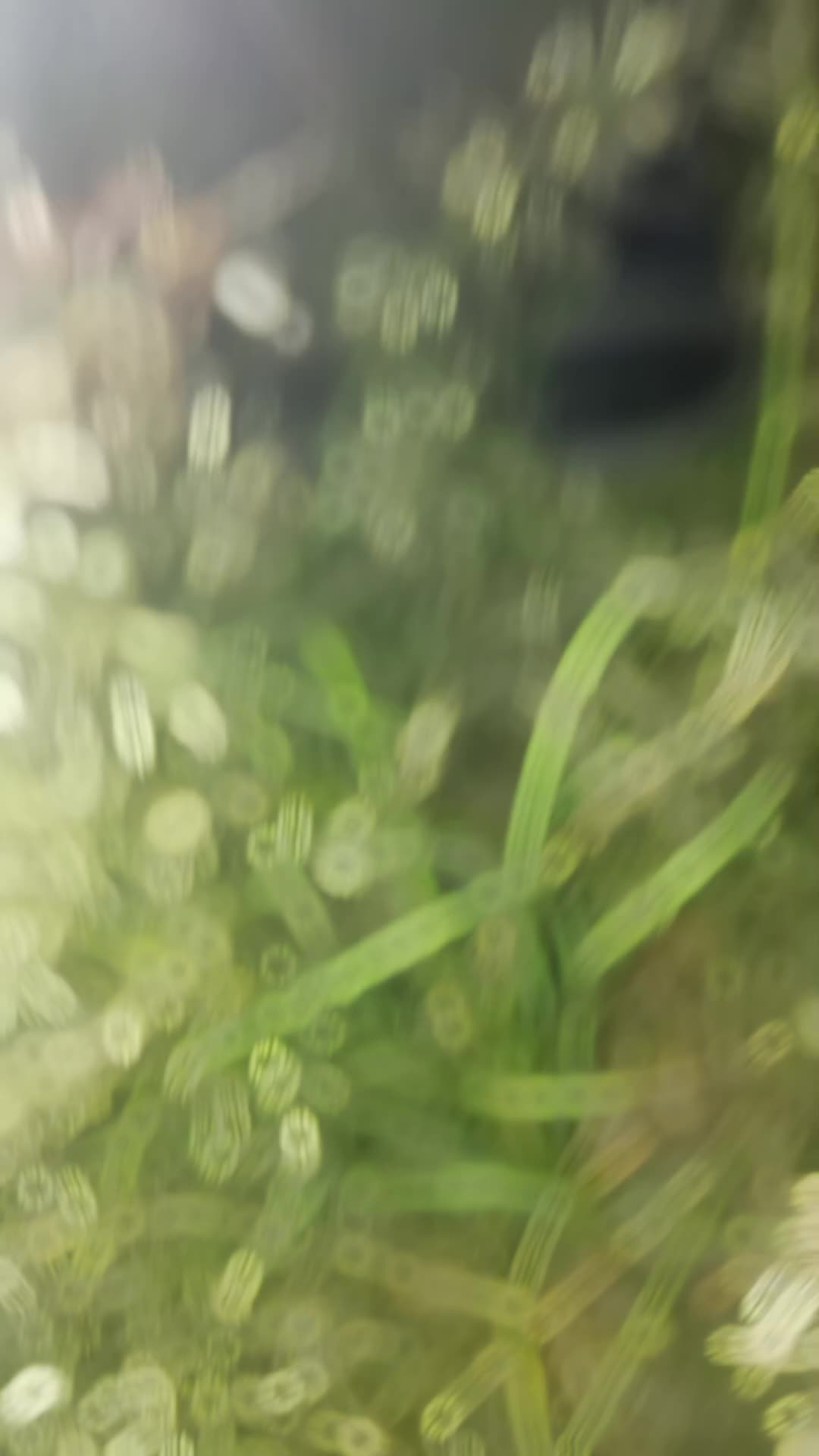 @🫀Kanha 🦚