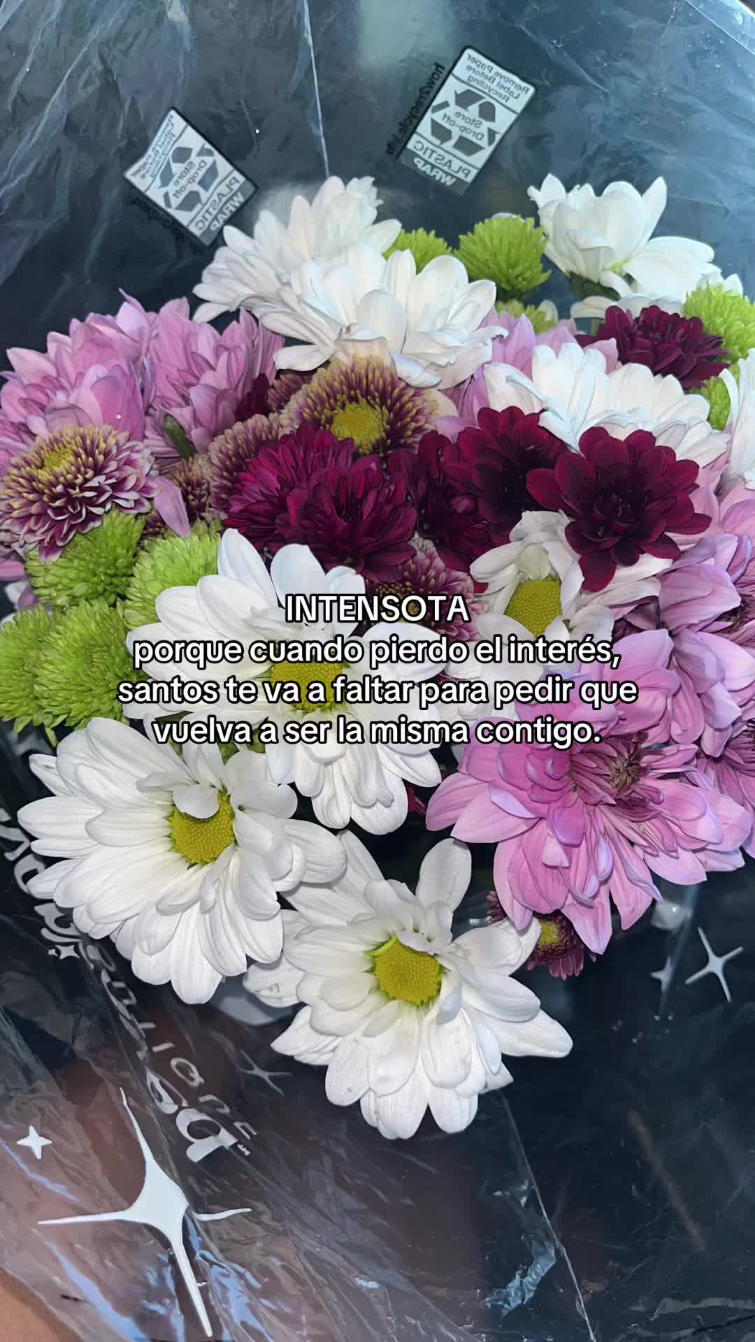 @M Guill&eacute;n 🌻🖤