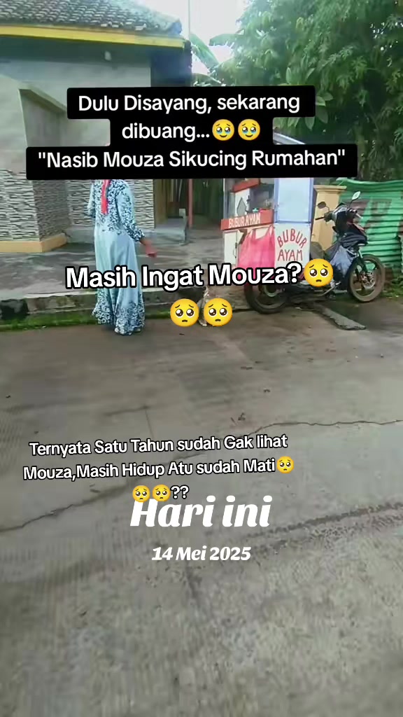 @Shanshan Ngapruk