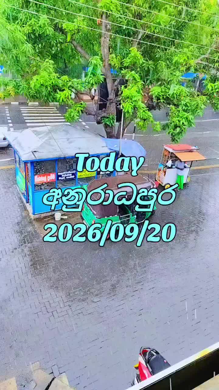 @∞༺♥༻✧ೃ⁀➷ හීන පැංචීೃ⁀➷∞༺♥༻✧