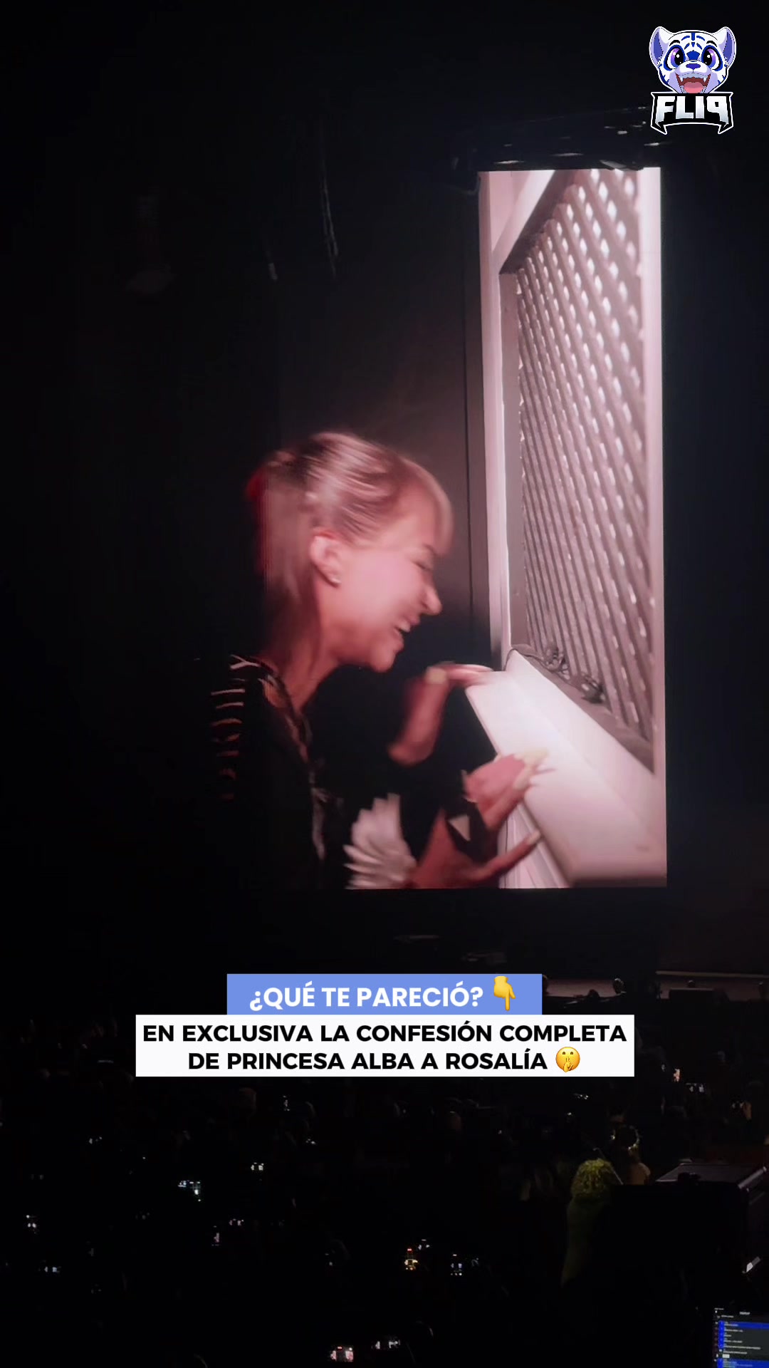 @Flip Noticias