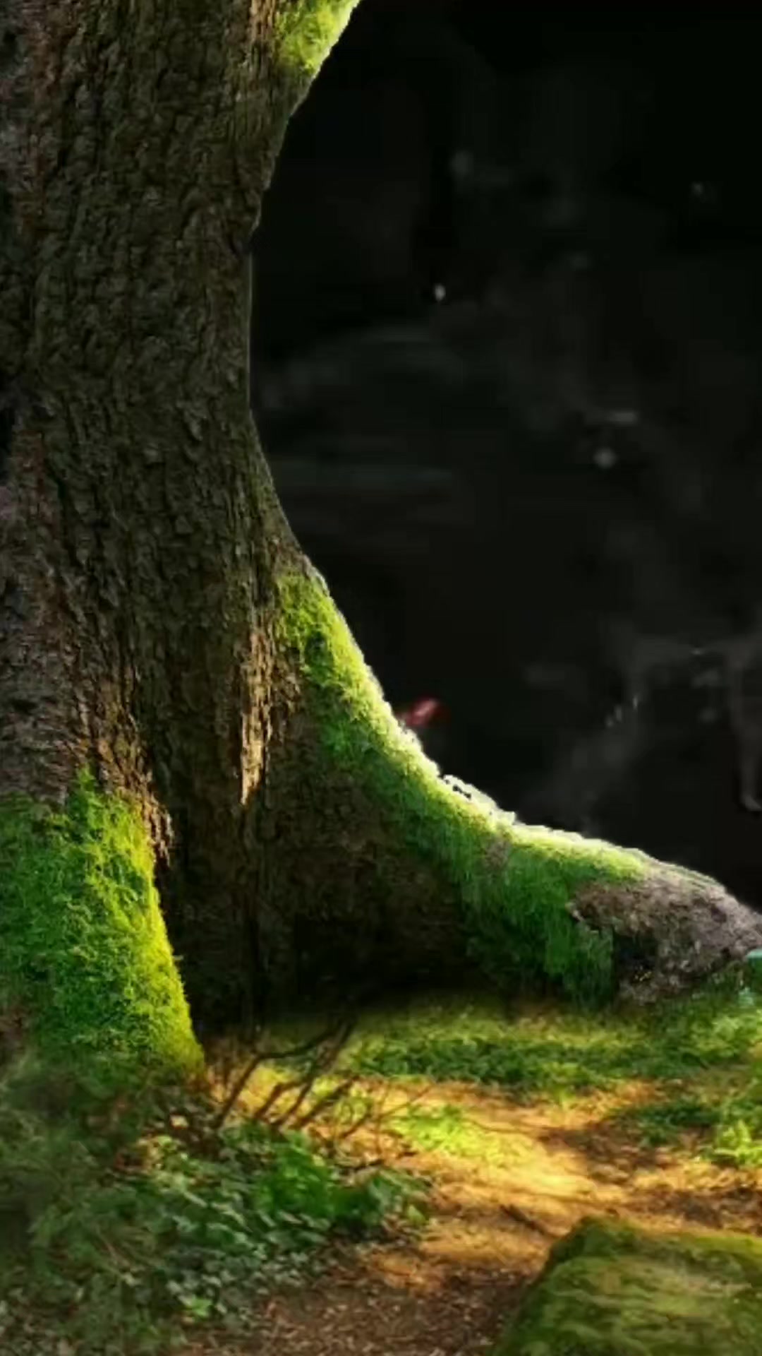 @ððºð¯ððšðŽðŠðŽðŒð²ð¯ð°ððšð©
