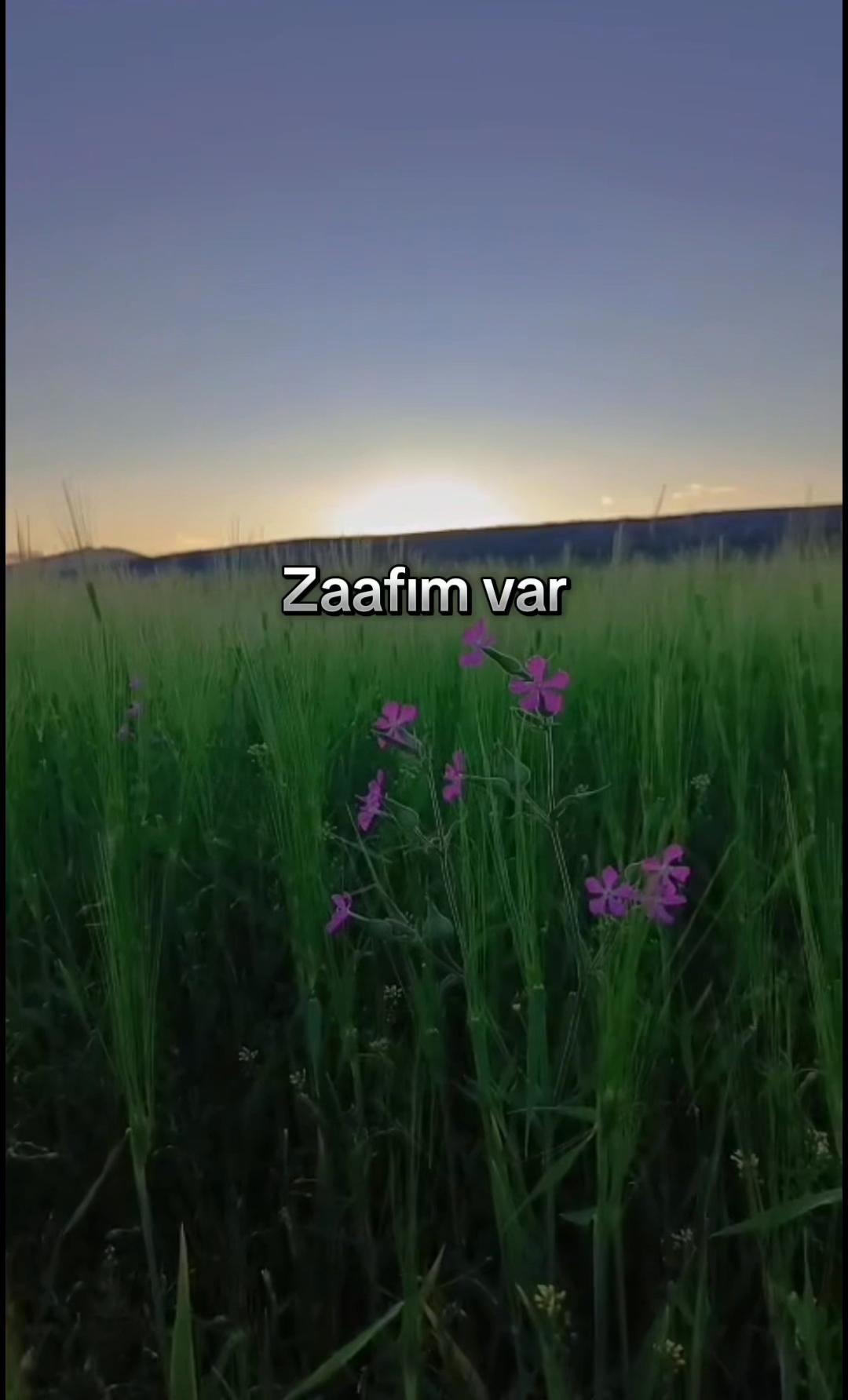 @doga_nefes