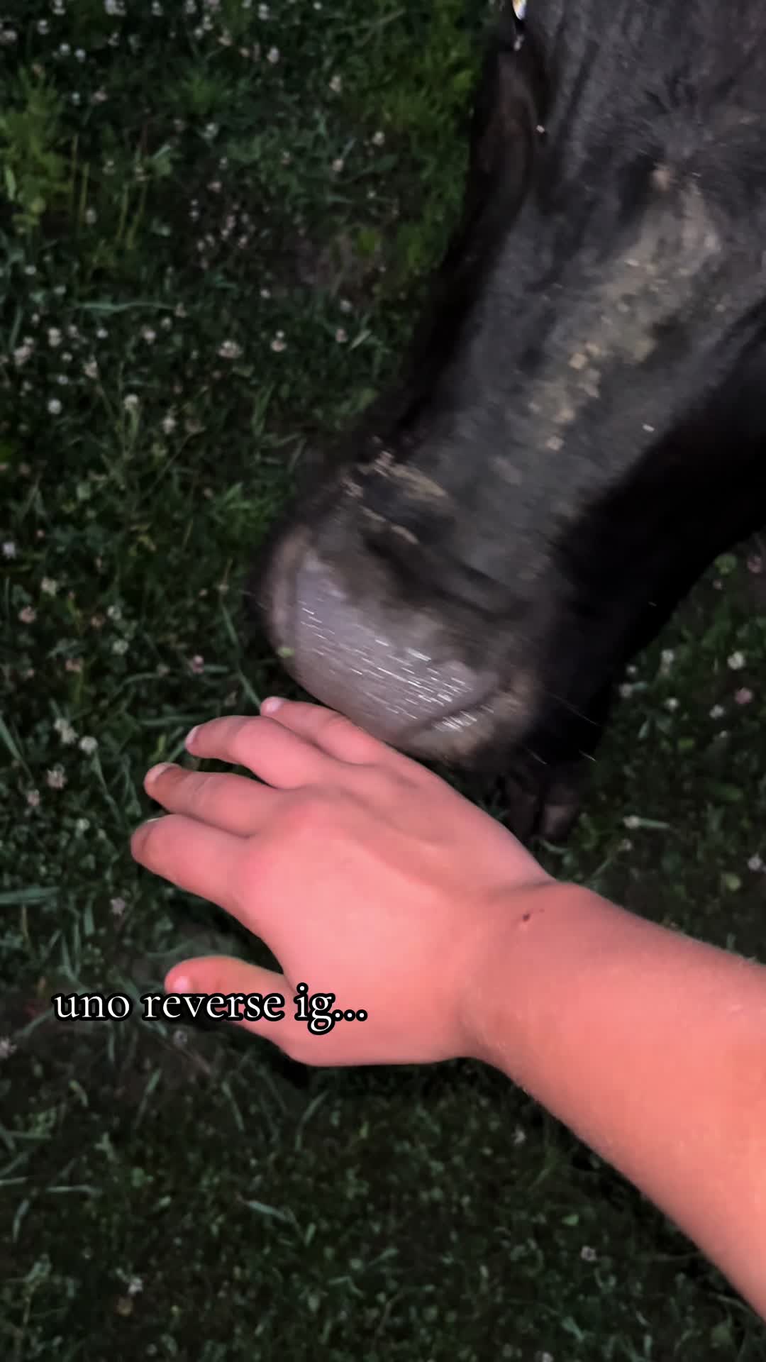 @Andi Abel✝️