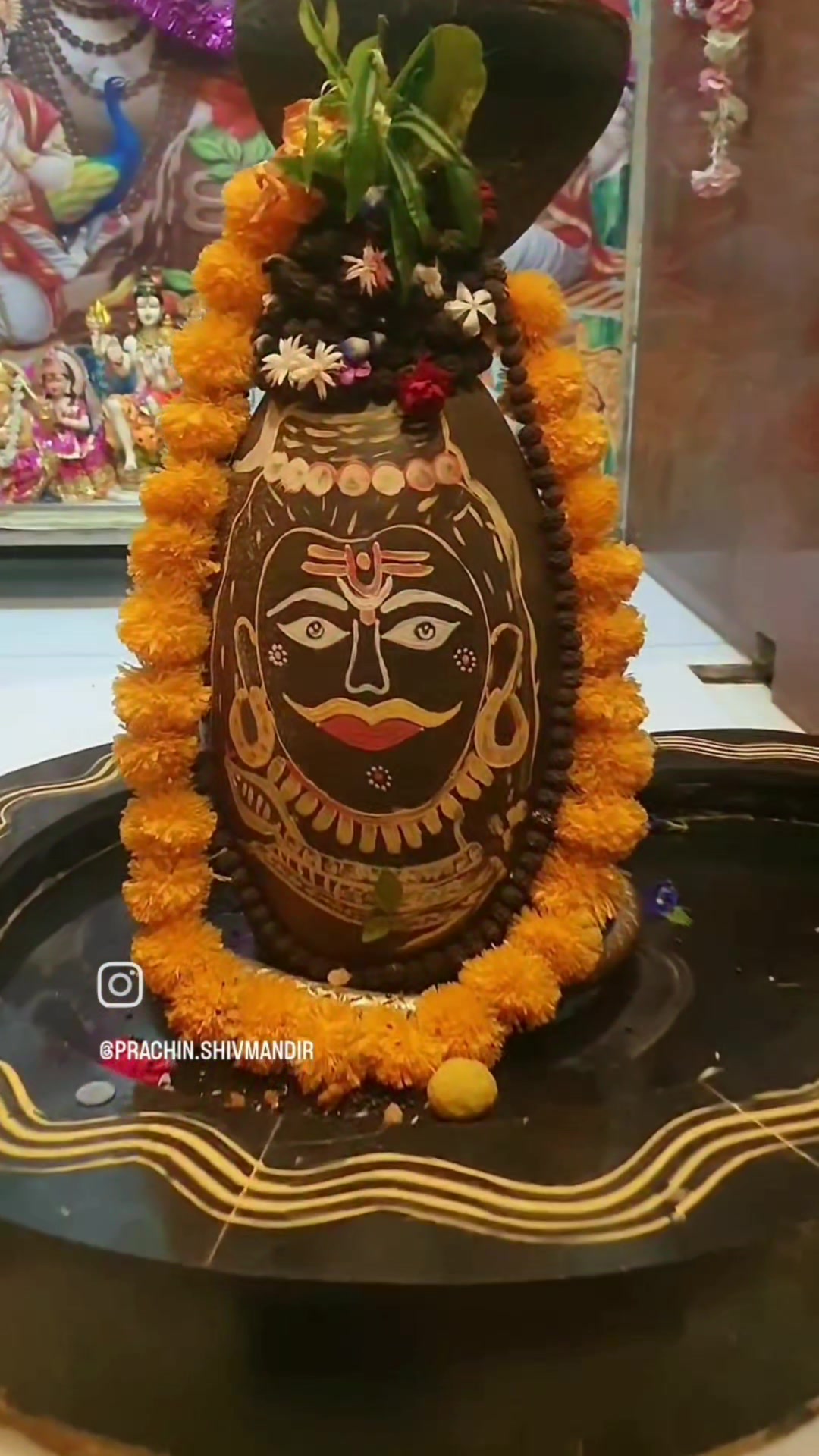 @teji_shahzadpuri