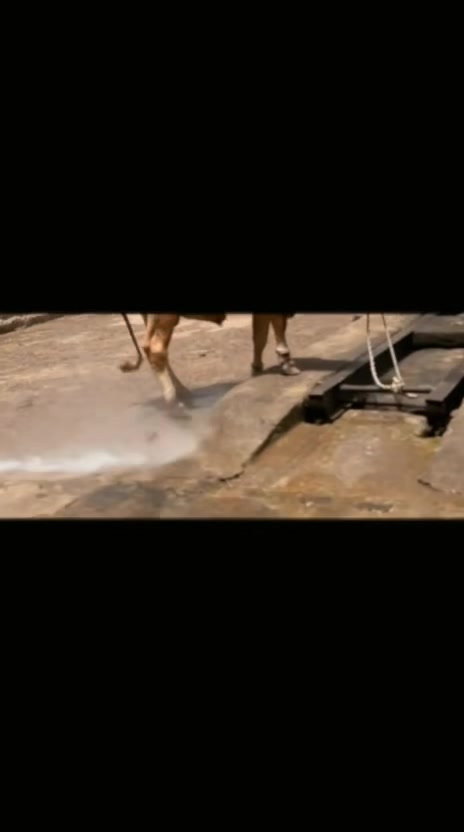 @msaadsaeed313