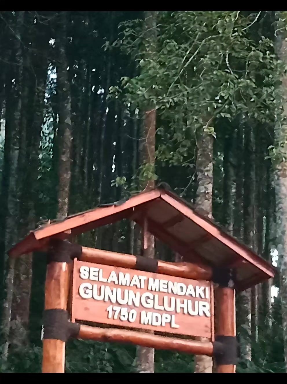 @Nungky Arumi184