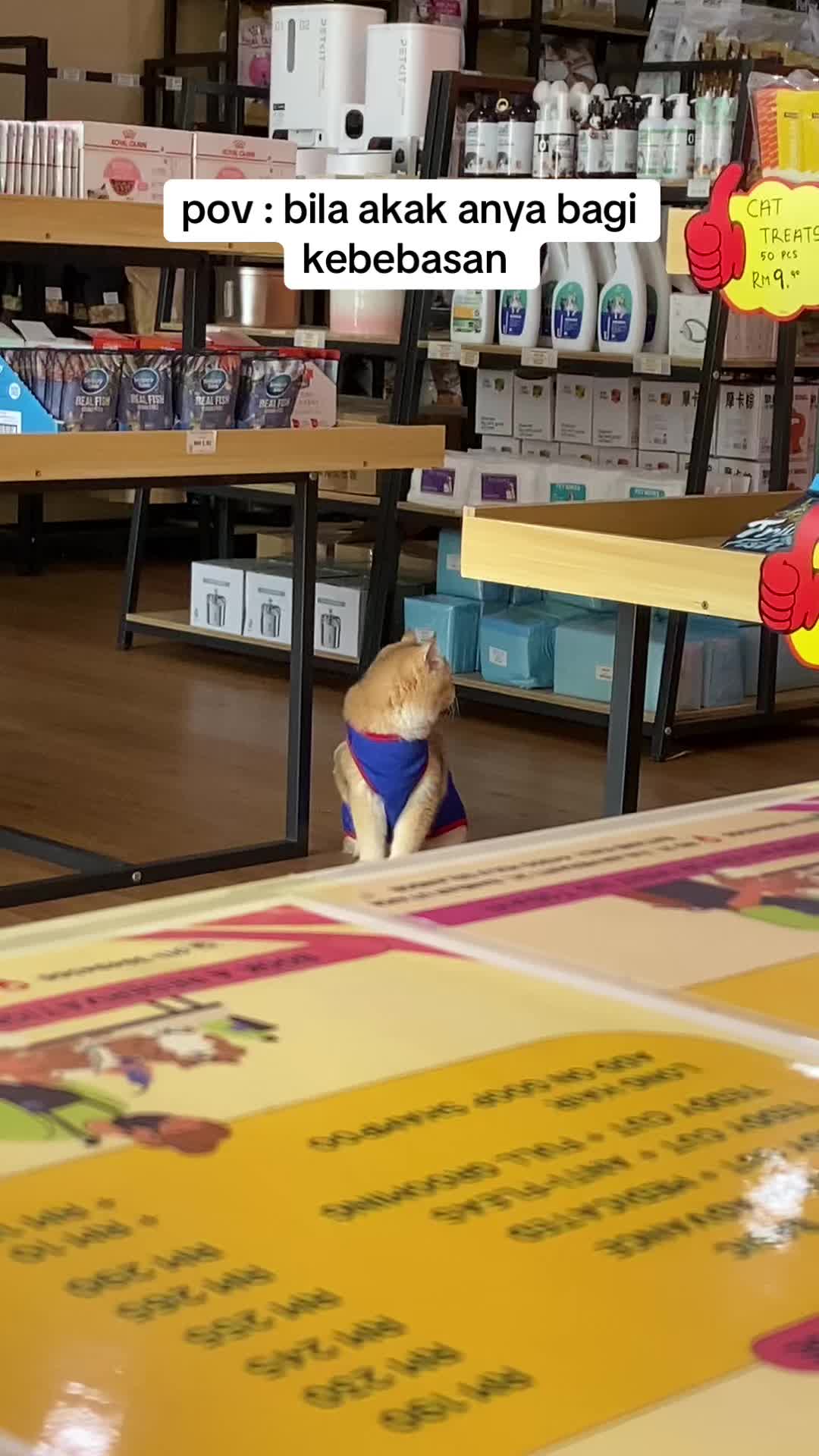 @Anya Pet Shop