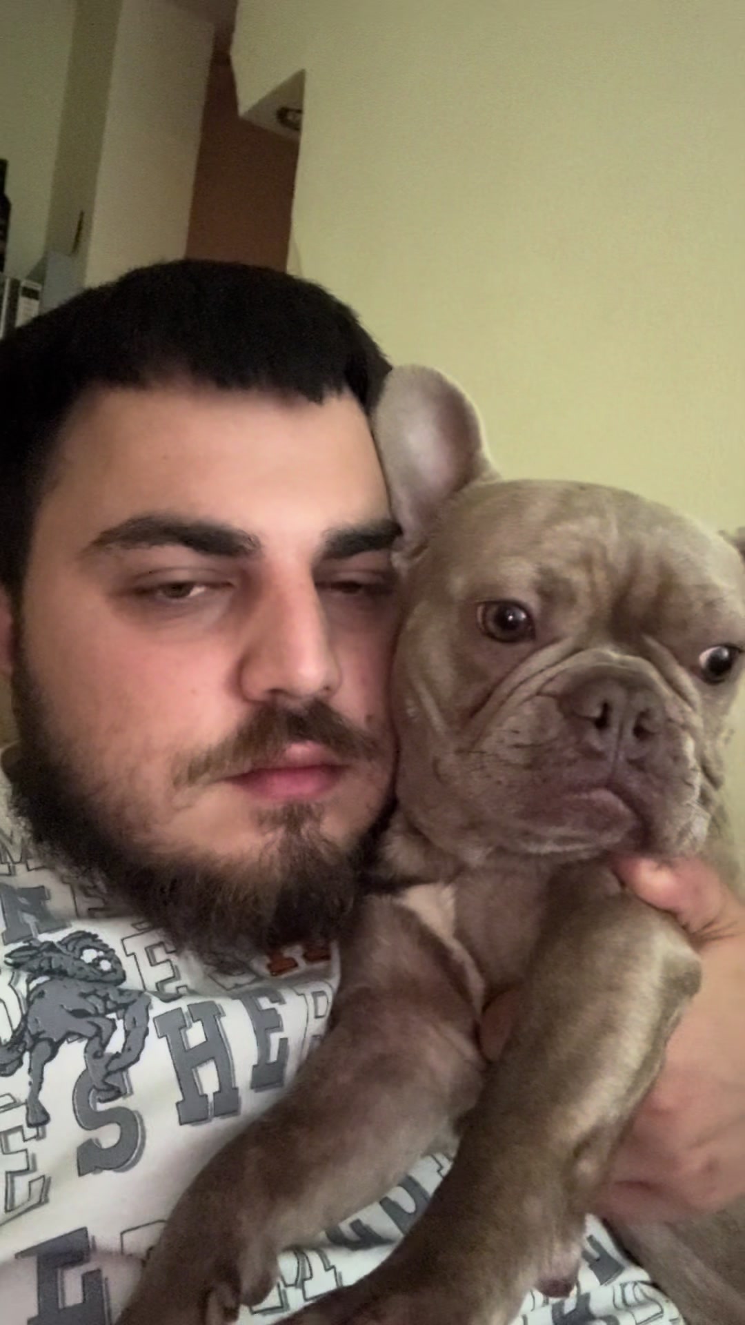 @BOHDANCHIK