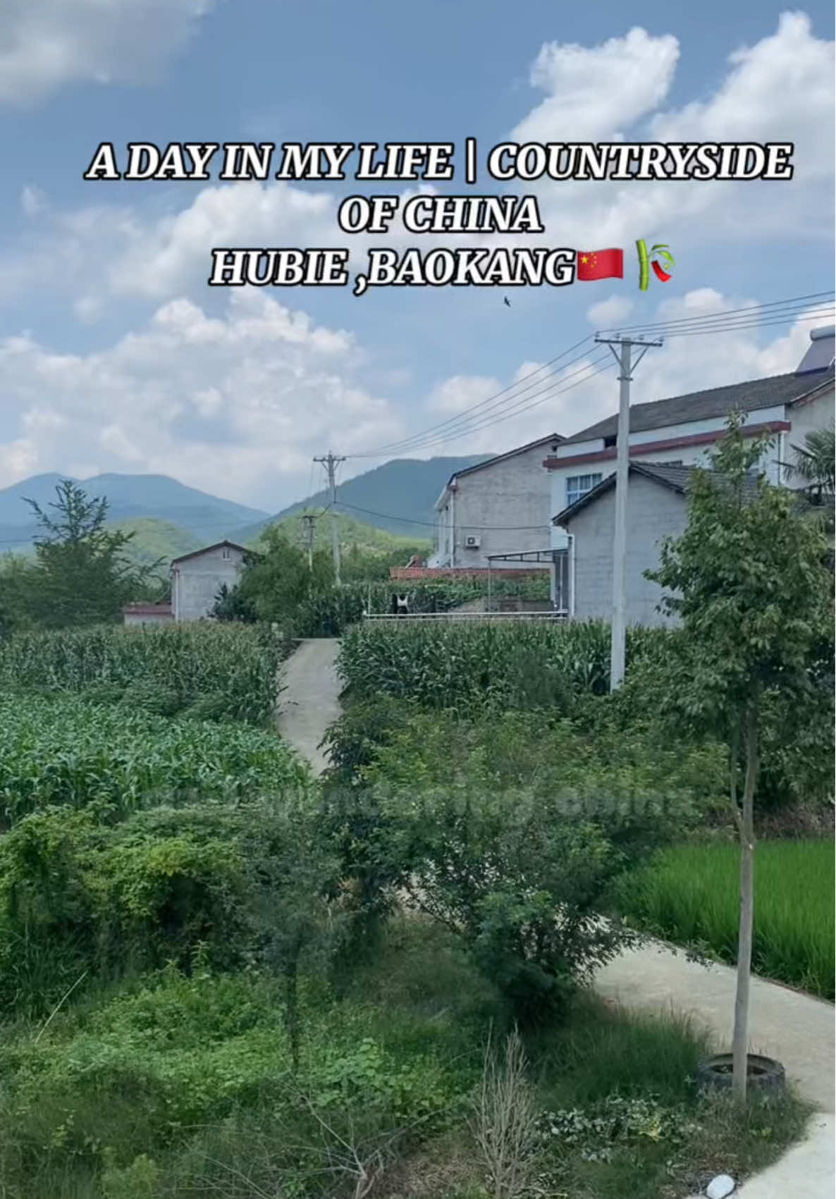 @gailwanderingchina