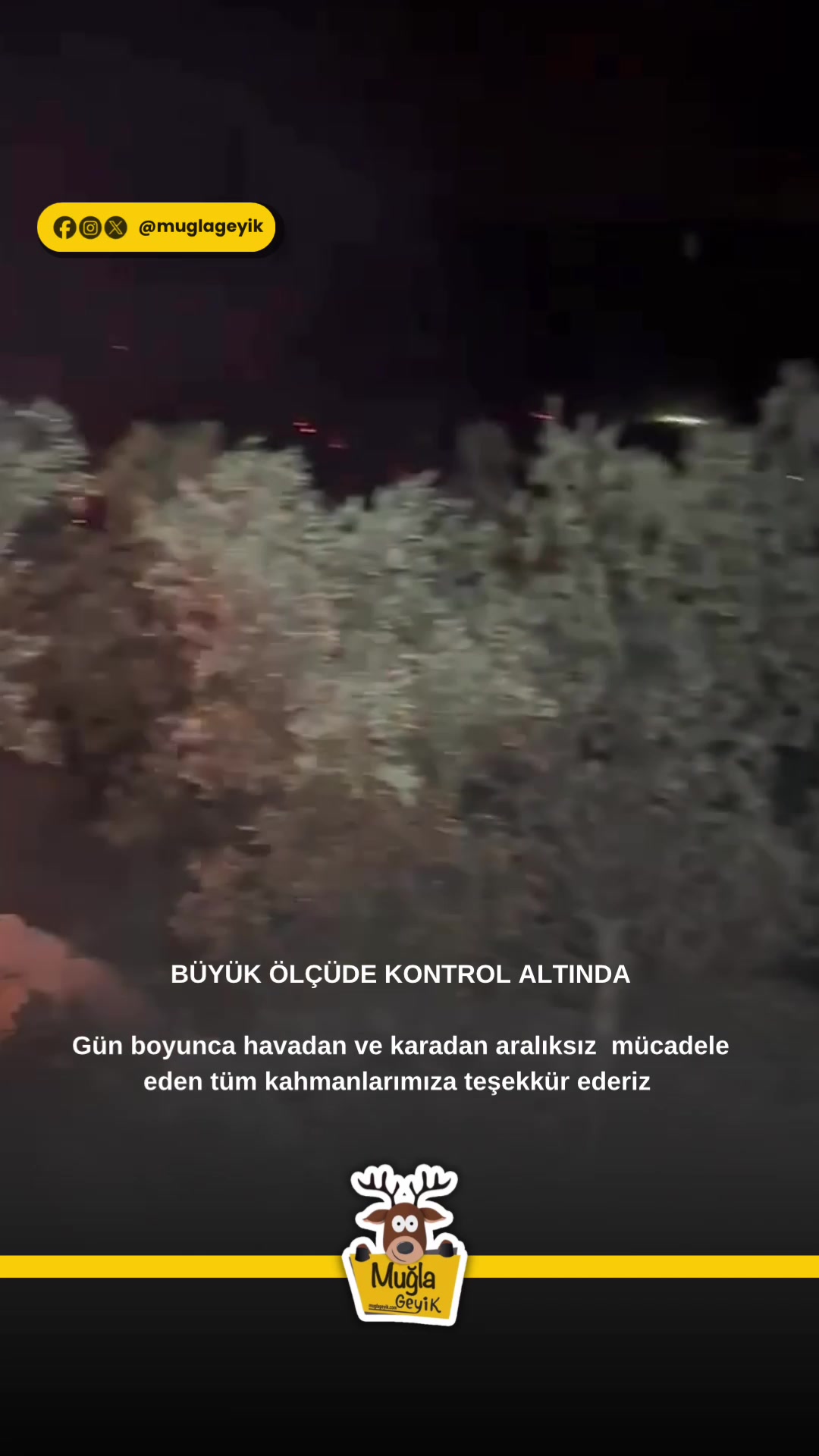@Muğla Geyik
