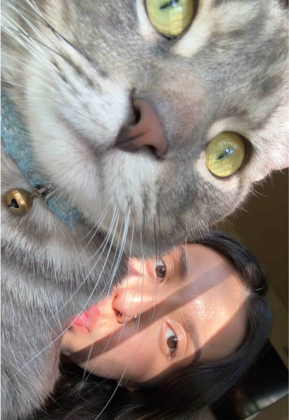@𝒟𝒶𝒾𝓁𝑒𝑒𝓃