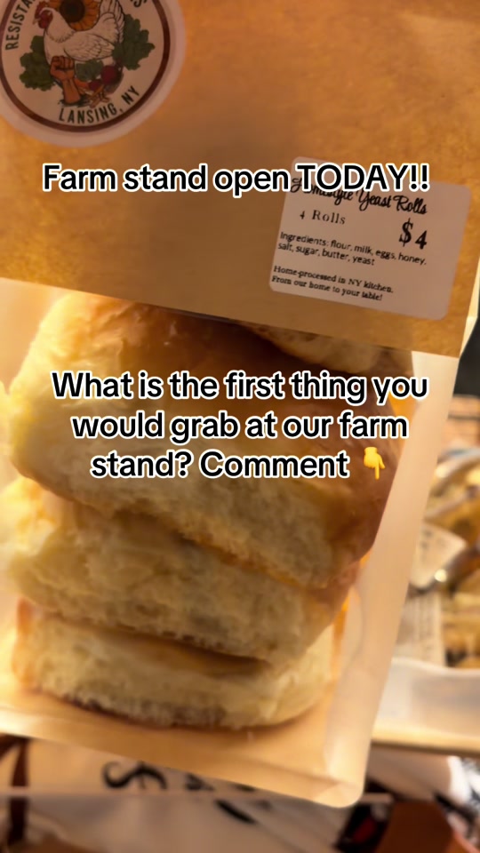 @Resistance Homesteaders