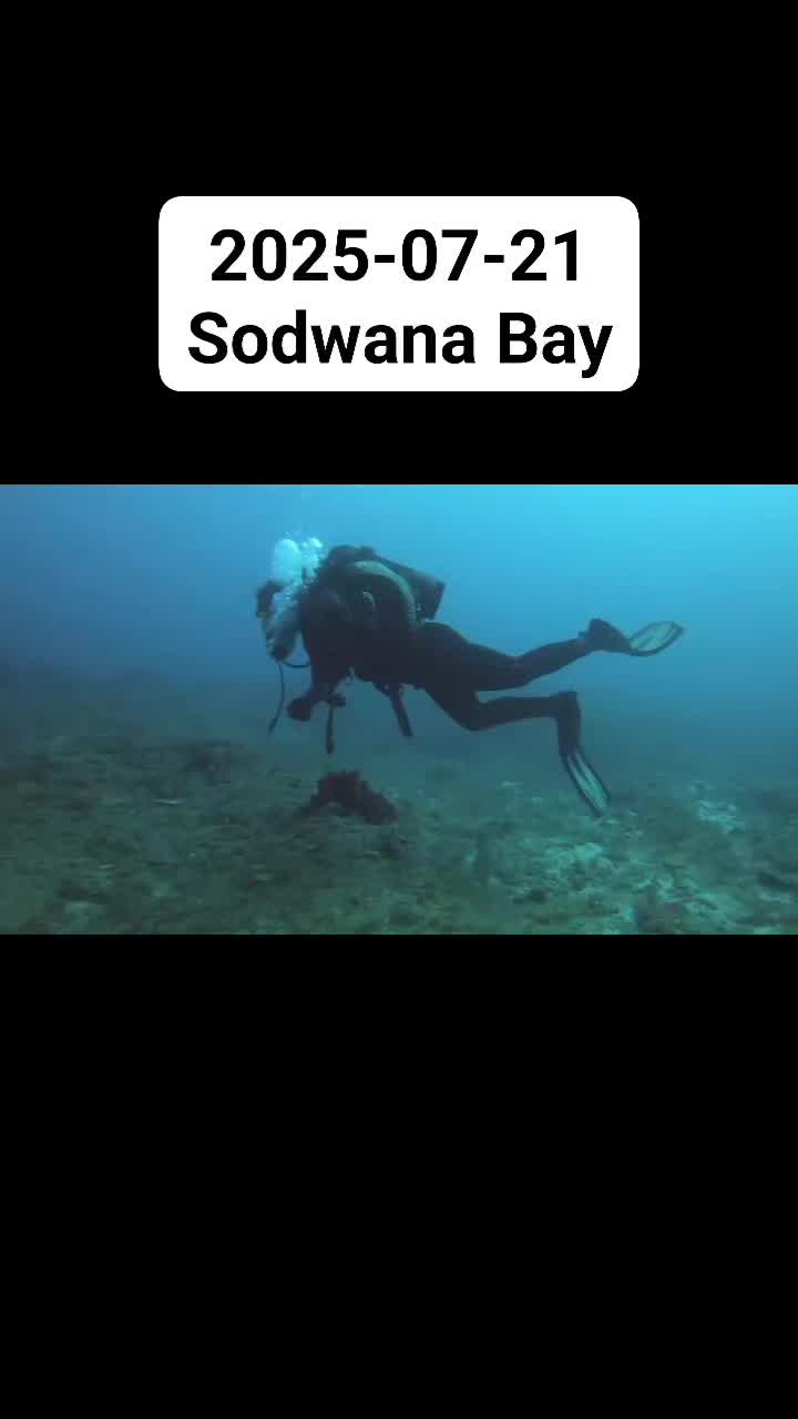 @chibandie
