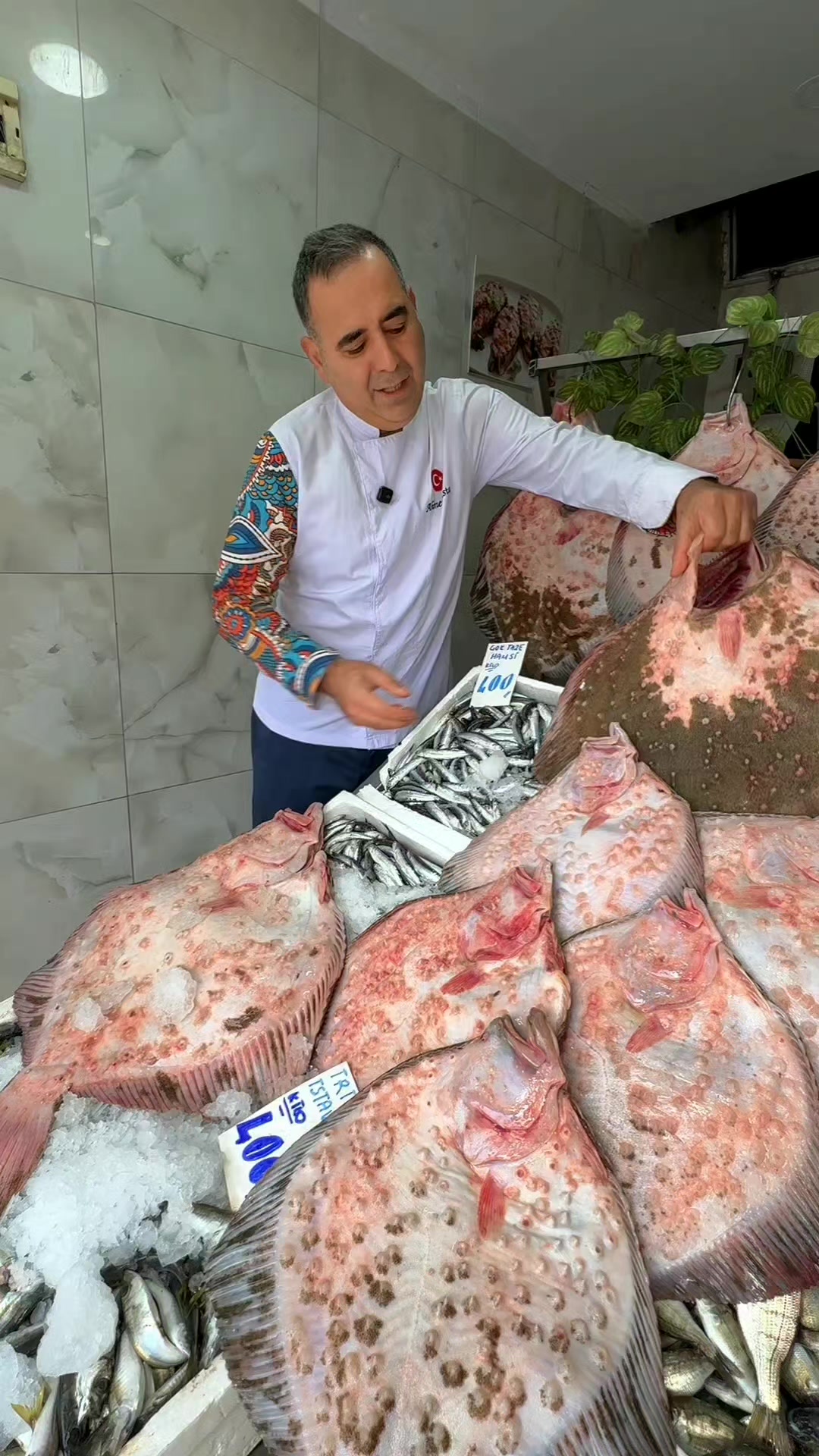 @cihanderyabalikbah&ccedil;elievler