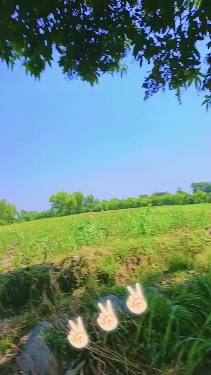 @مير <~صاحب 💎