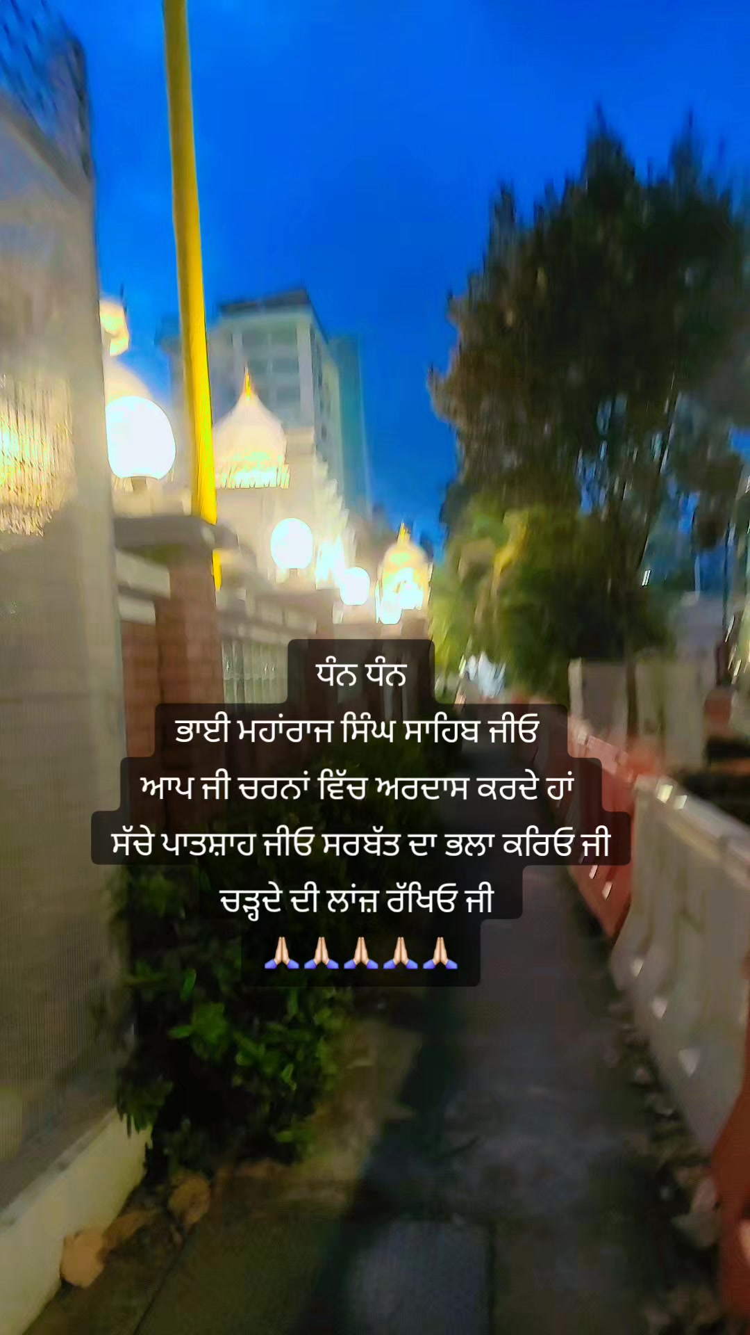 @pandori wala