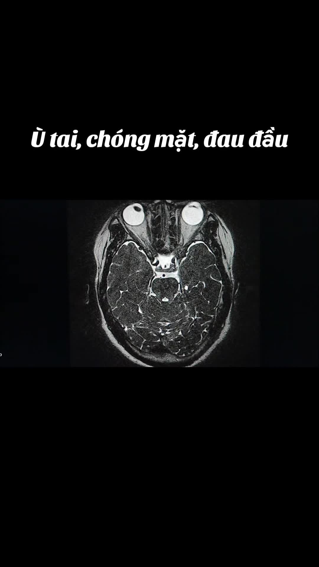 @Nguyễn Văn T&ugrave;ng