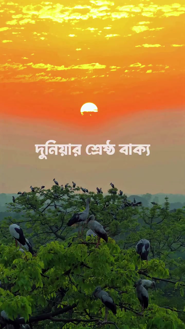 @🌲@hkraju6🌲🇧🇩🫶🇭🇰