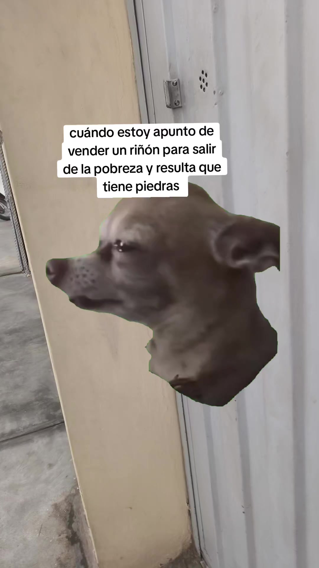@cara de sueño