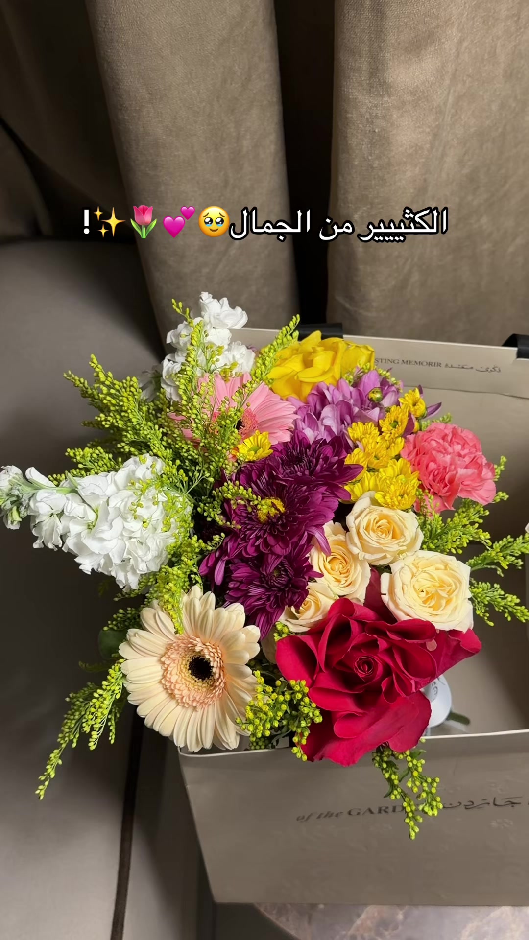 @AN | 🌷🎓