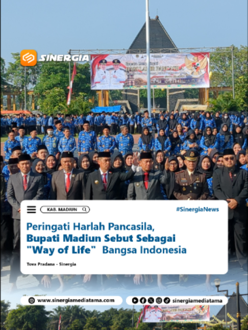 @SINERGIA MEDIATAMA